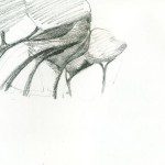 Waiting Sketches – at the side of the road
