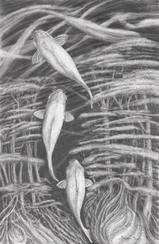 pencil, 8.5" x 12.75"